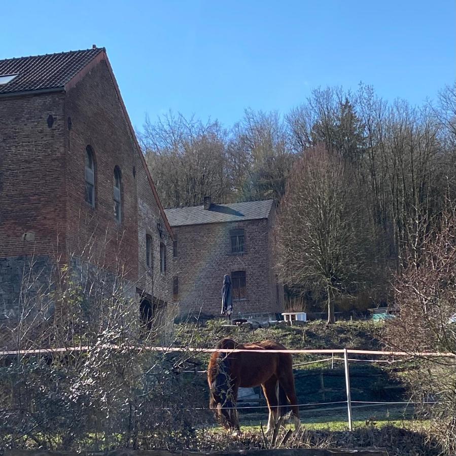 Villa Le Ranch Des Aguesses à Andenne Extérieur photo