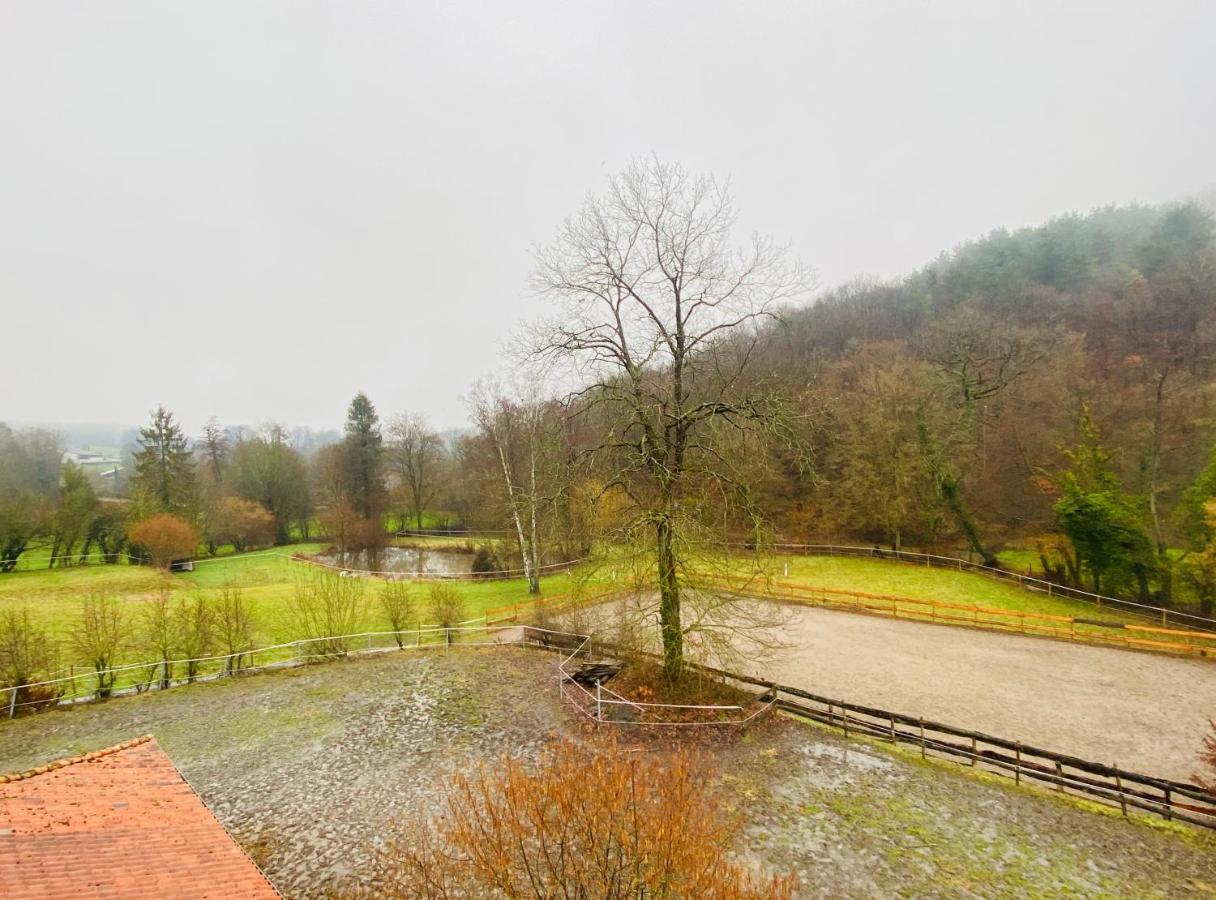 Villa Le Ranch Des Aguesses à Andenne Extérieur photo